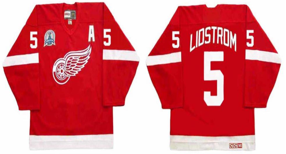 2019 Men Detroit Red Wings #5 Lidstrom Red CCM NHL jerseys1->detroit red wings->NHL Jersey